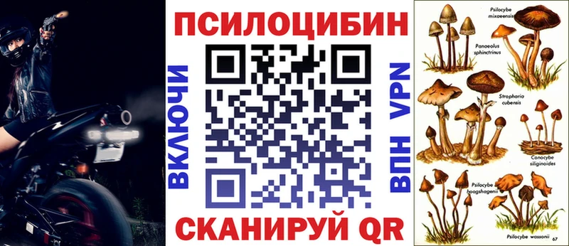 Псилоцибиновые грибы Cubensis Сосенский